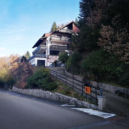 Villa Haus Schwarzwaldblick à Hornberg Extérieur photo