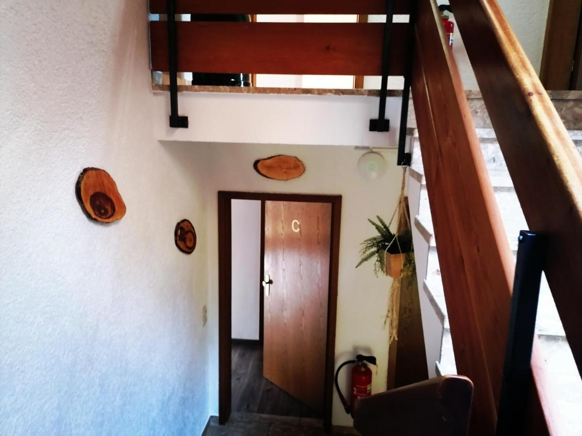 Villa Haus Schwarzwaldblick à Hornberg Extérieur photo