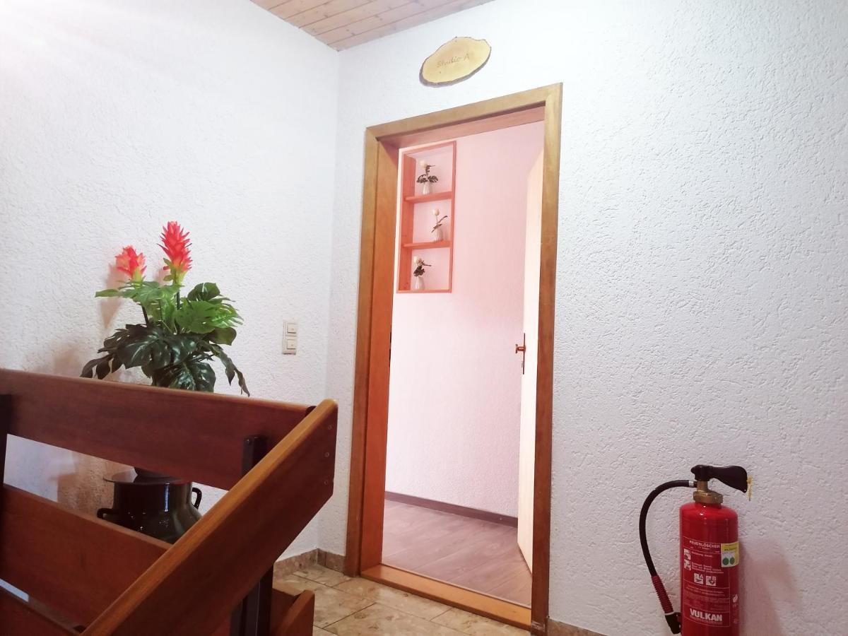 Villa Haus Schwarzwaldblick à Hornberg Extérieur photo