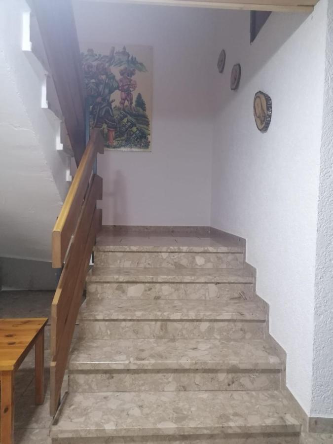 Villa Haus Schwarzwaldblick à Hornberg Extérieur photo